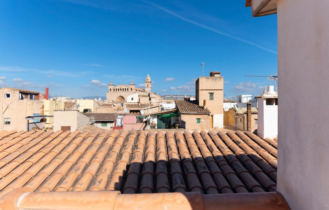 Venta - Casas o chalets - Palma de Mallorca - SANT ALONSO