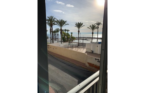 Apartamento - Alquiler Larga Estancia - Torrevieja - FL4540