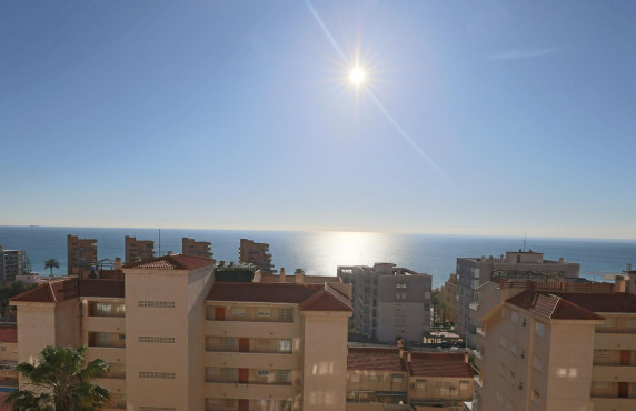 Apartamento - Venta - Arenales del sol - Arenales del Sol