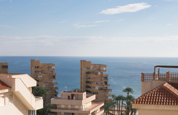Apartamento - Venta - Arenales del sol - Arenales del Sol