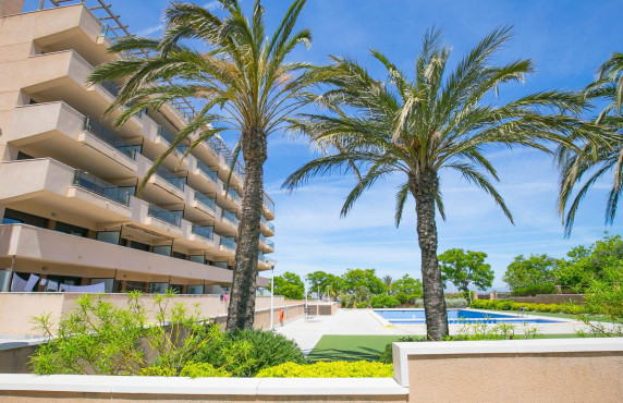 Apartamento - Venta - Arenales del sol - Calle valladolid