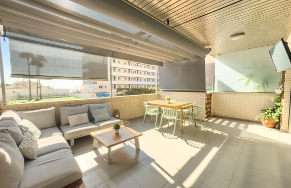 Apartment - Seasonal Rental - Arenales del sol - Arenales del Sol