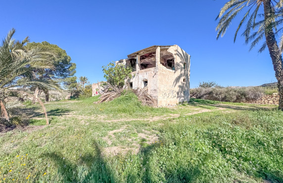 Casa Rural - Venta - Elche - La galia