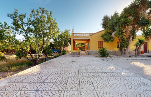 Casas o chalets - For Sale - Elche - Peña Aguilas