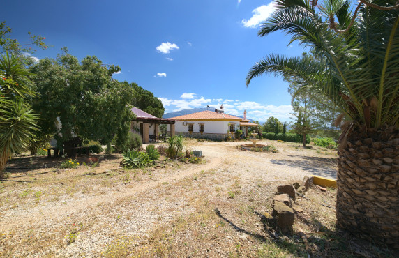 Casas o chalets - For Sale - Periana - Cortijo Buenavista