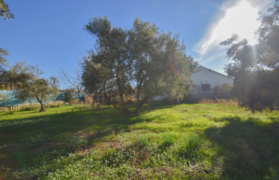 Casas o chalets - Venta - Gójar - Colorada