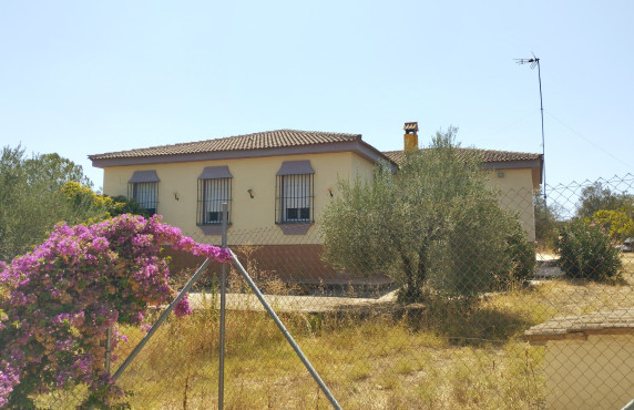 Casas o chalets - Venta - Hinojos - Urbanización Entrepinos, Hinojos