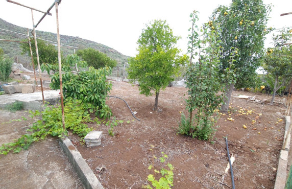 Casas o chalets - Venta - Vega de San Mateo - Lomo los Silos