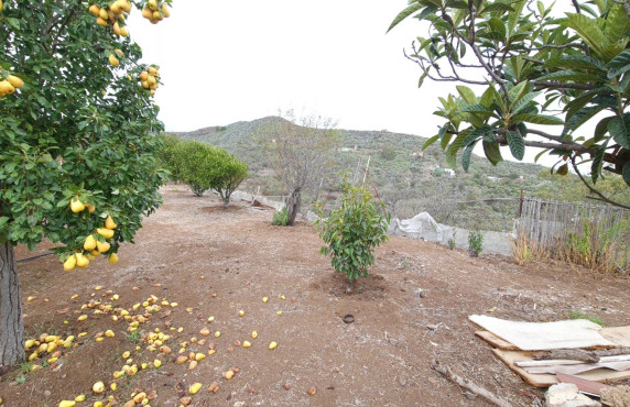 Casas o chalets - Venta - Vega de San Mateo - Lomo los Silos