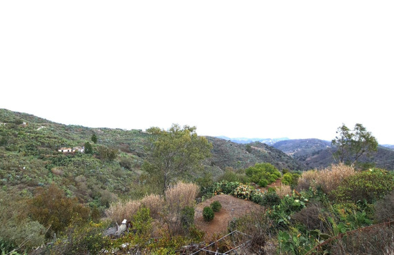 Casas o chalets - Venta - Vega de San Mateo - Lomo los Silos