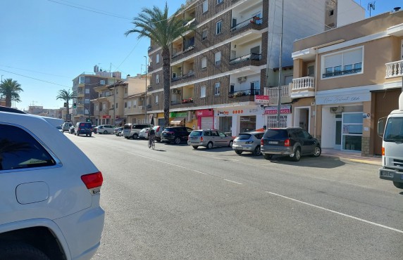  -  - Catral - Catral