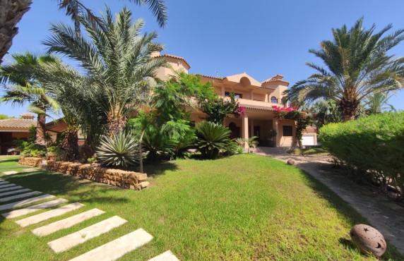 Chalet - For Sale - Elche pedanias - TGV4349