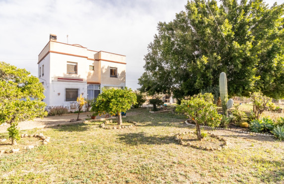 Chalet - Venta - Elche - LLANO SAN JOSE