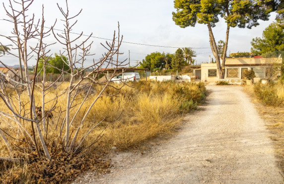 Chalet - Venta - Elche - Peña Las Águilas