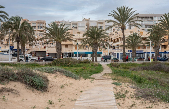 Commercial Unit - Venta - Arenales del sol - Arenales del Sol