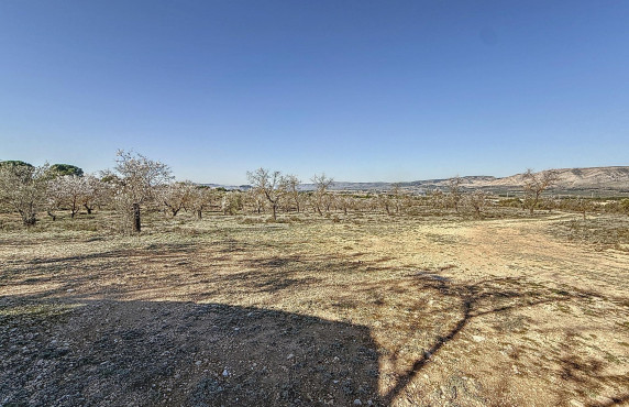 Country land - For Sale - Biar - Comunidad valenciana