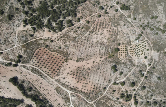 Country land - For Sale - Castalla - Castalla Internacional