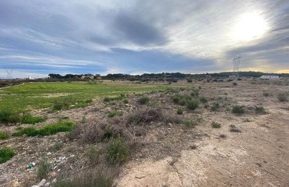 Country land - For Sale - Elche pedanias - LA MARINA