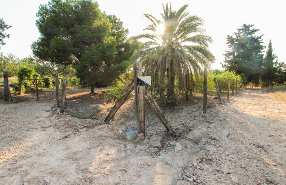 Country land - For Sale - Elche pedanias - LA MARINA