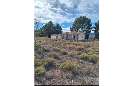 Country land - For Sale - Villena - Paseo chapí