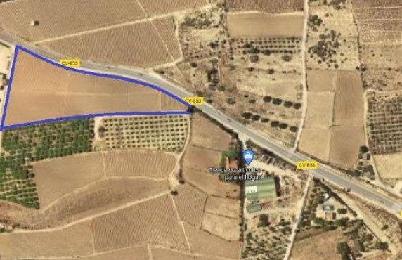 Country land - Venta - Elche - MLS-77225