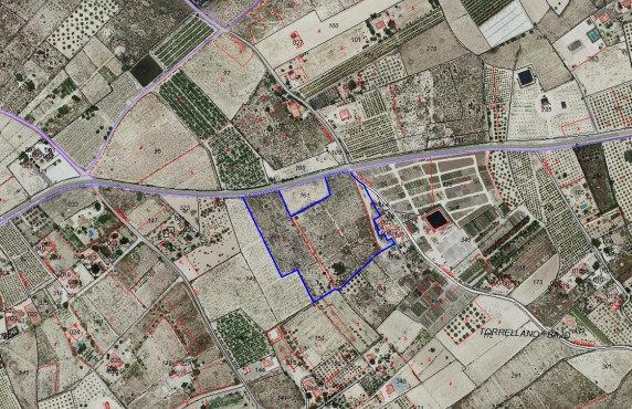 Country land - Venta - Elche pedanias - MLS-92052
