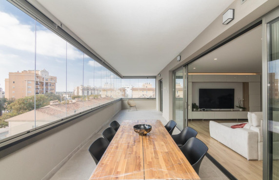  -  - Elche - Campo de futbol