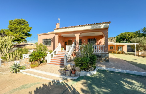  -  - Elche - partida jubalcoy