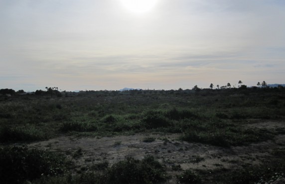 Estate - For Sale - Elche pedanias - Valverde