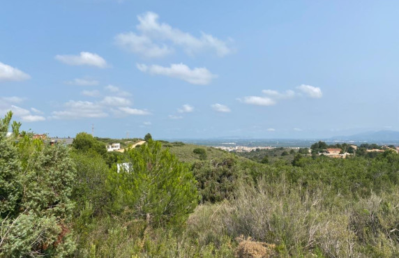 Fincas y solares - For Sale - Alginet - LOS LAGOS