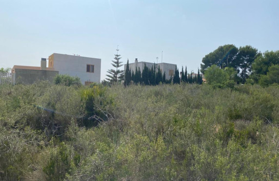 Fincas y solares - For Sale - Alginet - LOS LAGOS