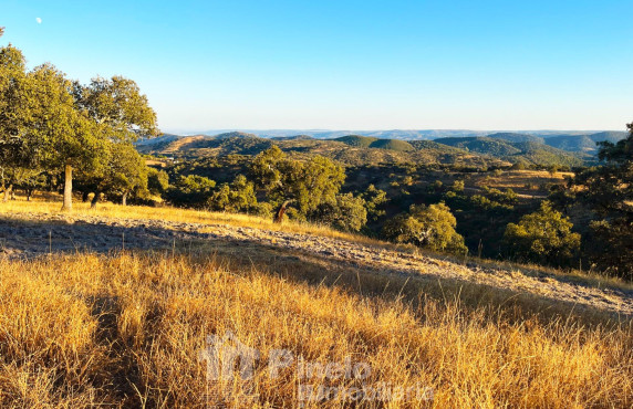 Fincas y solares - For Sale - Almadén de la Plata - CTRA. CAZALLA DE LA SIERRA, ALMADÉ DE LA PLATA