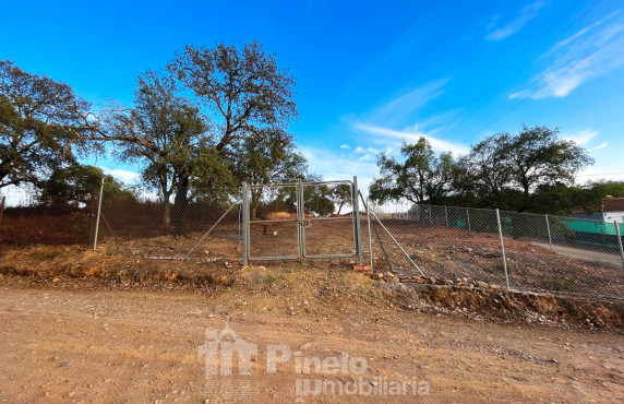 Fincas y solares - For Sale - Castilblanco de los Arroyos - Santa Cecilia