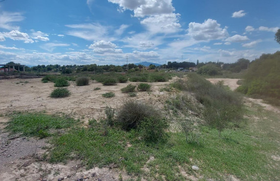 Fincas y solares - For Sale - Molina de Segura - las raimundas