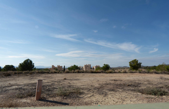 Fincas y solares - For Sale - Murcia - Manzana