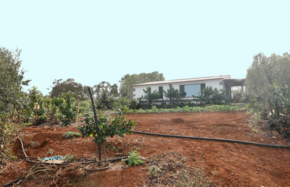 Fincas y solares - For Sale - Santa María de Guía de Gran Canaria - Diseminado Paso María de los Santos