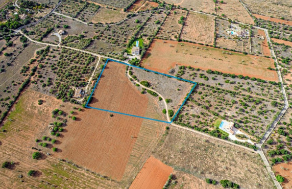 Fincas y solares - For Sale - Ses Salines - poligono 6 parcelo 527