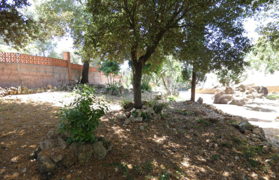 Fincas y solares - For Sale - Torrelles de Foix - CIRERER (PLANA TORRES)