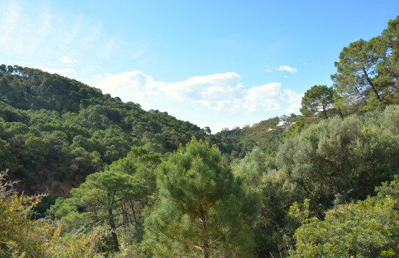 Fincas y solares - Venta - Benahavís - Urbanización Montemayor Alto