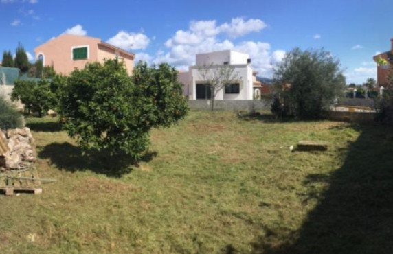 Fincas y solares - Venta - Calvià - Carrer del Puput