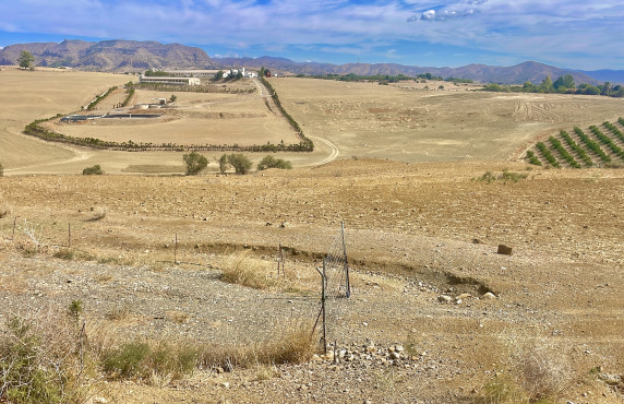 Fincas y solares - Venta - Cártama - Carretera de los Carril de la Loma