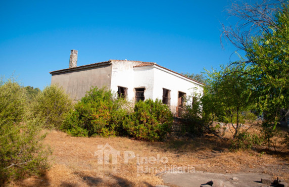 Fincas y solares - Venta - Castilblanco de los Arroyos - ALONDRA