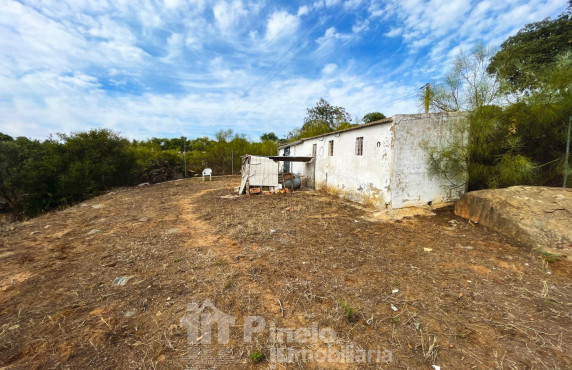 Fincas y solares - Venta - Castilblanco de los Arroyos - de San Benito