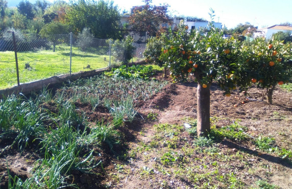 Fincas y solares - Venta - Coín - VILLALBA