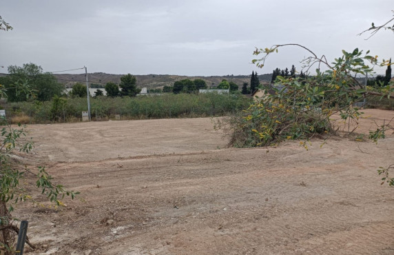 Fincas y solares - Venta - Javalí Nuevo - N-344, 4, 30832 Murcia, España