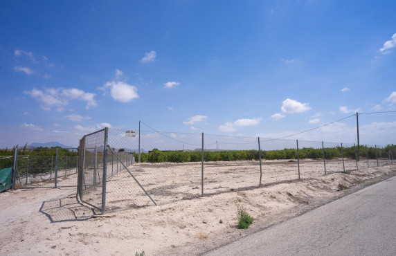 Fincas y solares - Venta - Molina de Segura - Camino de la Casa Grande