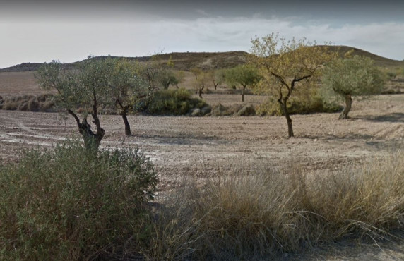 Fincas y solares - Venta - Murcia - casa alta  en  cañada hermosa