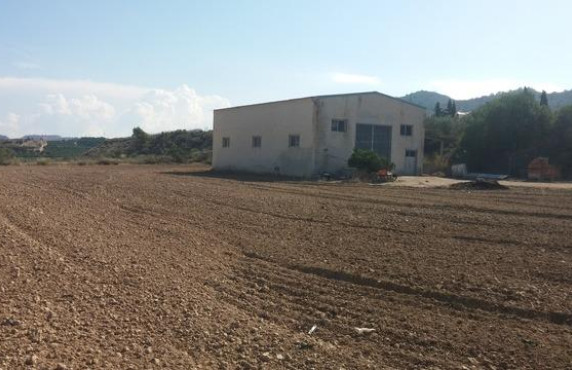 Fincas y solares - Venta - Orihuela - ALCACHOFAR