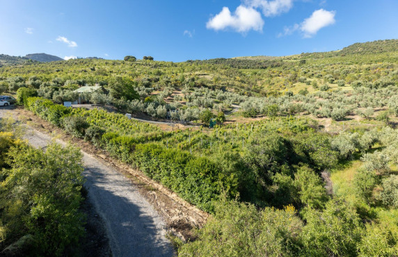 Fincas y solares - Venta - Pinos Genil - Sierra Nevada