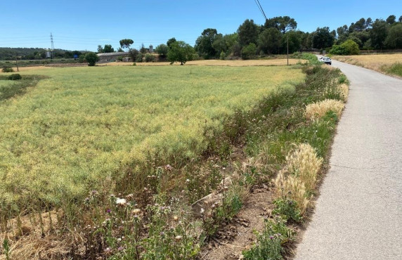 Fincas y solares - Venta - Sant Fruitós de Bages - MOLINOT